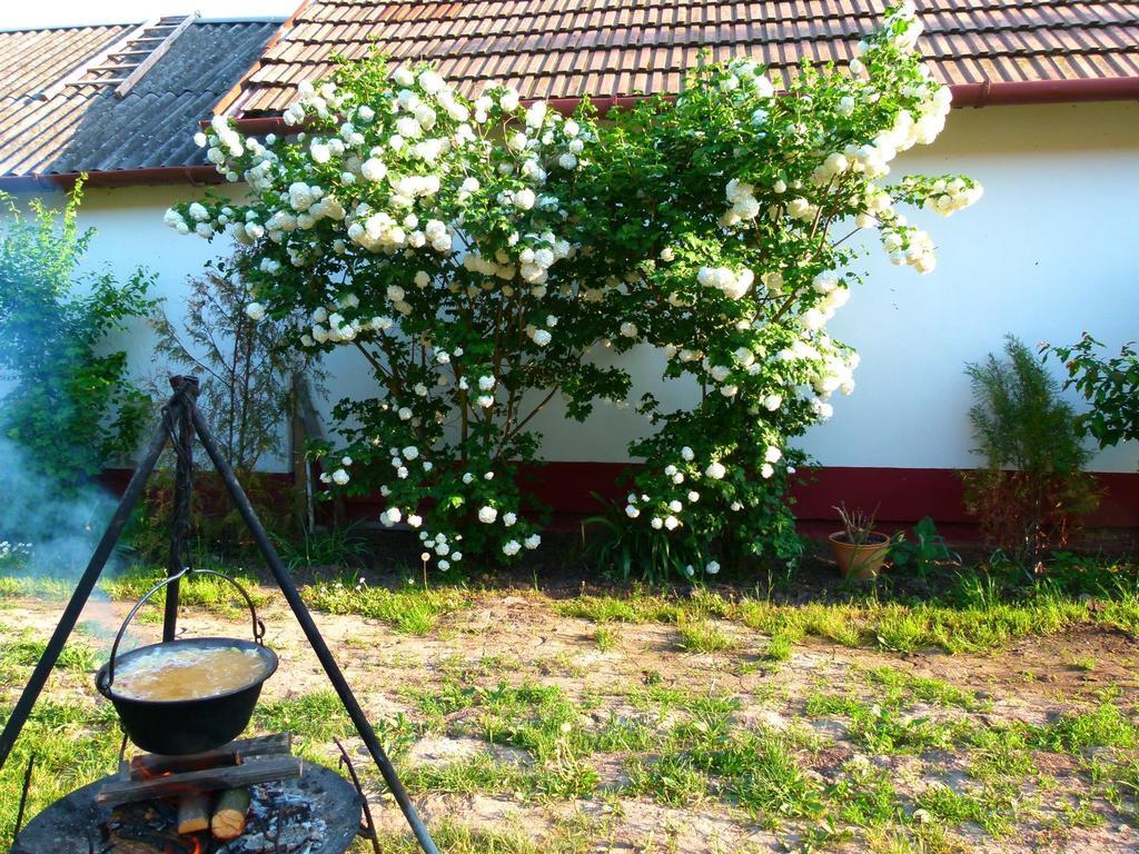 Hajdu Lovasudvar Hortobágy Exterior foto
